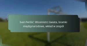 Ivan Perišić: Wicemistrz świata, bramki międzynarodowe, wkład w zespół