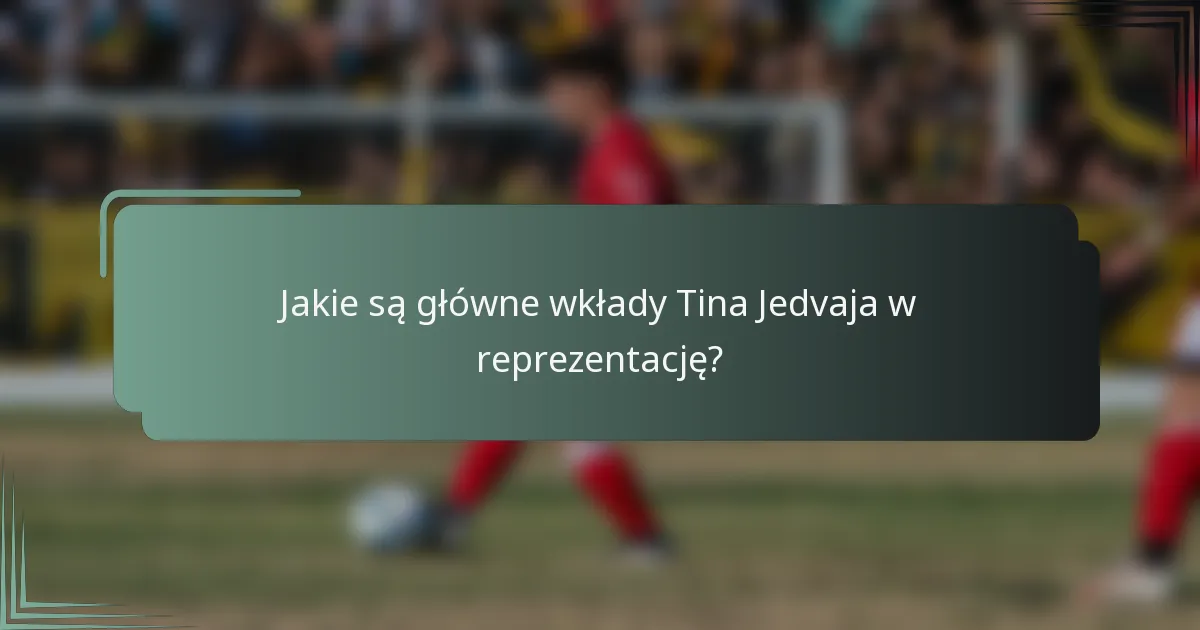 Jakie są główne wkłady Tina Jedvaja w reprezentację?