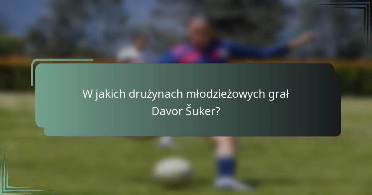 W jakich drużynach młodzieżowych grał Davor Šuker?